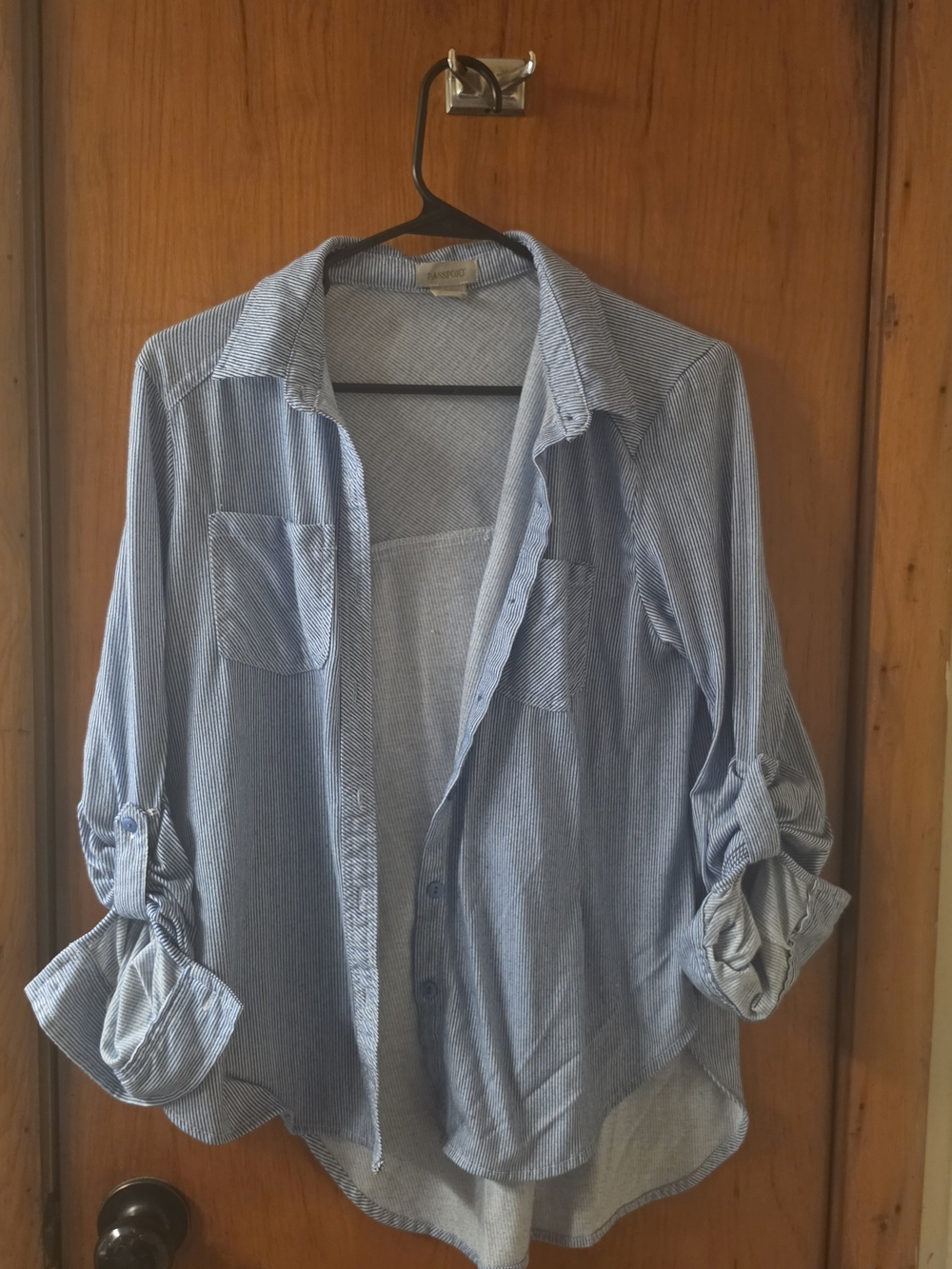 Passport Blue Pinstripe Casual Button-Down Shirt